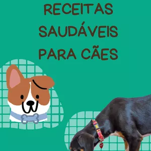 Imagem de capa para o Ebook 30 receitas saudáveis para cães 