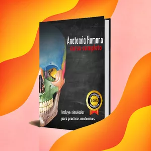 Imagen de portada para Ebook Curso completo de Anatomía Humana.