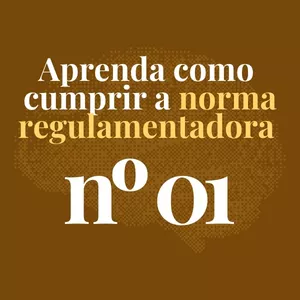 Imagem de capa para o Curso online Aprenda como cumprir a norma regulamentadora nº 01