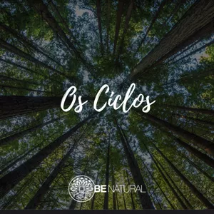 Imagem de capa para o Ebook Os ciclos