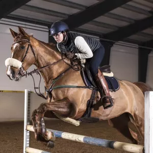Imagem do curso Condicionamento Físico Equino