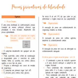 Imagem de capa para o Ebook Resumo Penas Privativas de Liberdade