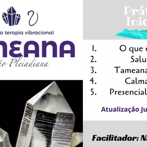 Imagem de capa para o Curso online Tameana Práticas Iniciais