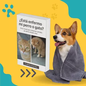 Imagen de portada para Ebook ¿Está enfermo mi perro o gato?