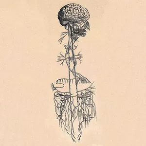 Cover image for Online course Embrace your nervous system