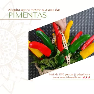 Imagem de capa para o Curso online CURSO DA PIMENTA
