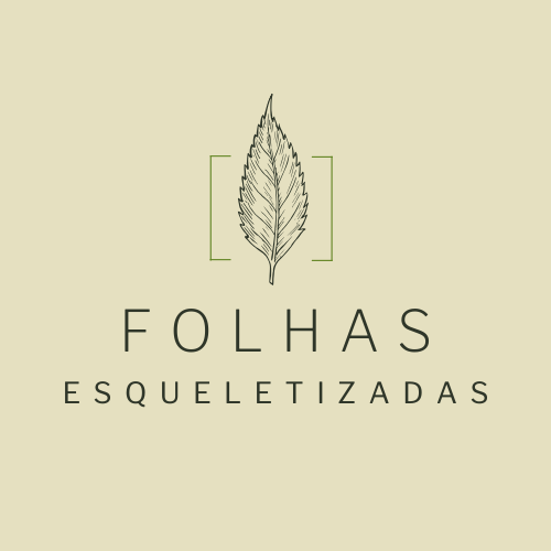 Curso Folhas Incríveis: Curso de Esquelitização