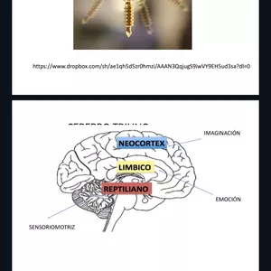 Imagen de portada para Curso online Como aprender a hipnotizar 