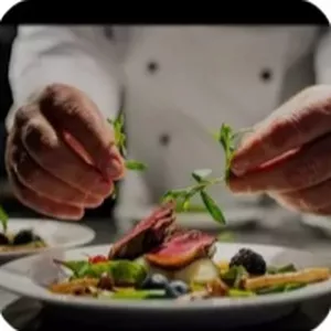 Imagem de capa para o Curso online Culinária e Gatronômia 