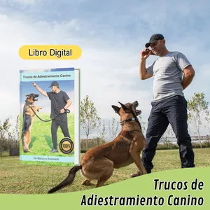 Imagen de portada para Curso online Trucos de Adiestramiento Canino