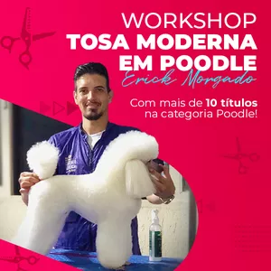 Curso WORKSHOP TOSA MODERNA EM POODLE