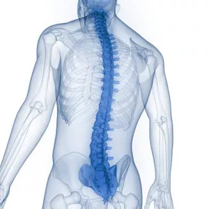 Cover image for Online course Pacchetto - Marketing per Ortopedici e Fisioterapisti