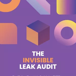 Cover image for Ebook THE INVISIBLE LEAK AUDIT