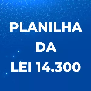 Imagem de capa para o Curso online Planilha Lei 14.300 - Grupo B