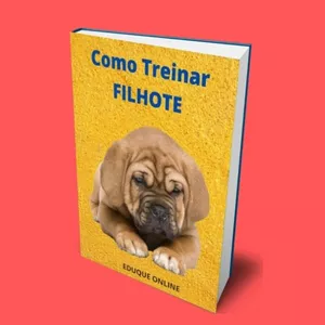 Imagem de capa para o Ebook Como Treinar Filhote