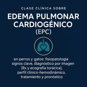 Imagen de portada para Curso online EDEMA PULMONAR CARDIOGÊNICO - LT