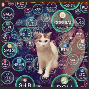 Imagen de portada para Curso online Salva el Halving