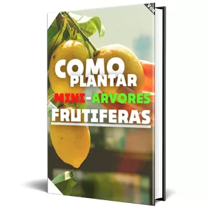 Imagem de capa para o Ebook COMO PLANTAR MINI-ARVORES FRUTÍFERAS!!!