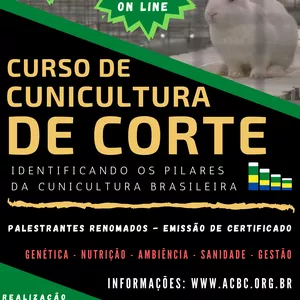 Imagem de capa para o Curso online Curso de cunicultura para a produção de carne: Identificando os pilares da Cunicultura Brasileira