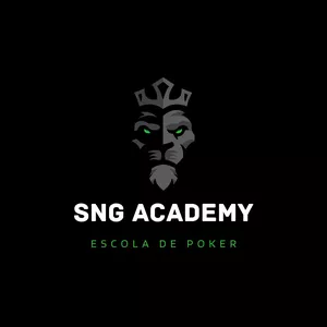 Imagem de capa para o Curso online SNG Academy 2024