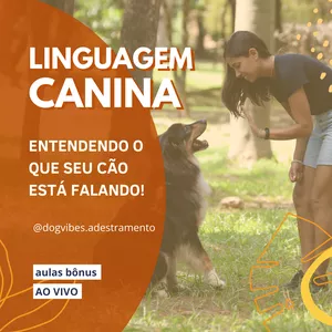 Imagem de capa para o Curso online Linguagem Canina