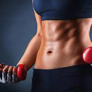 Imagem de capa para o Ebook FITINS