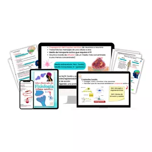 Imagen de portada para Curso online Libro del fisiología humana del sistema nervioso - Acceso de por vida