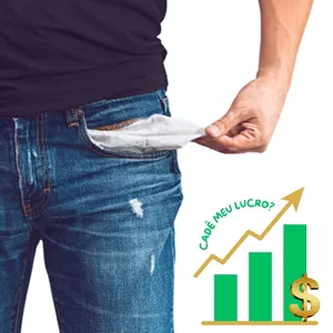 Imagem de capa para o Curso online Gestão Financeira Para Pequenas e Médias Empresas: Curso: Cadê Meu Lucro?