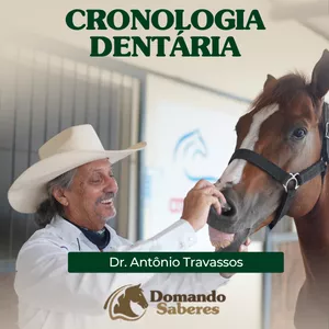 Imagem de capa para o Curso online Cronologia Dentária