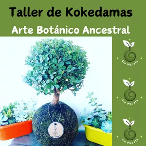 Imagen de portada para Ebook TALLER DE KOKEDAMAS