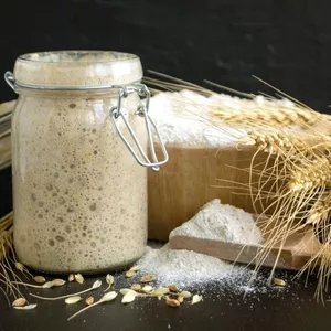 Imagem de capa para o Ebook Fermento Natural do Zero: Guia Prático com  2 Métodos.