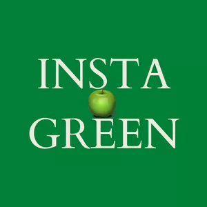 Imagem de capa para o Curso online MENTORIA INSTAGREEN