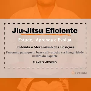 Imagem de capa para o Curso online Jiu-Jitsu Eficiente
