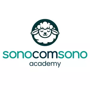Imagem de capa para o Curso online sonocomsono academy