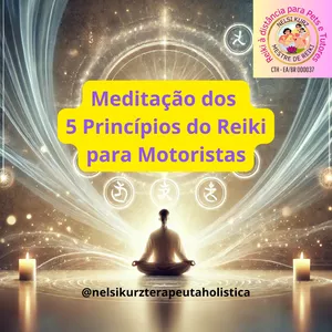Imagem do curso MEDITAÇÃO IMPERDÍVEL | APRENDA OS 5 PRINCÍPIOS DO REIKI PARA MOTORISTAS