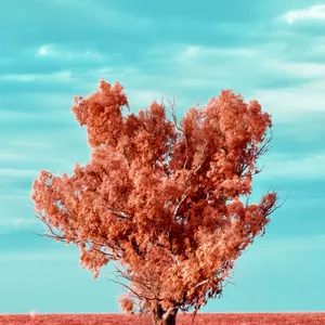 Imagen de portada para Curso online Cursos de espiritualidad 