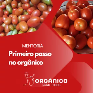 Imagem de capa para o Serviço online MENTORIA INDIVIDUAL PRIMEIRO PASSO NO ORGÂNICO