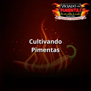 Imagem de capa para o Curso online 5 Aulas - Cultivando Pimentas