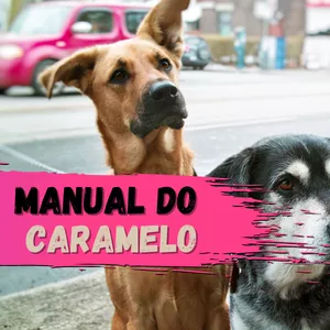 Imagem de capa para o Ebook Manual do Caramelo