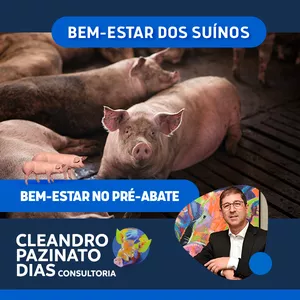 Imagem de capa para o Curso online Embarque de suínos para o abate