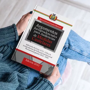 Imagen de portada para Ebook Argumentos Jurisprudenciales  Para Audiencias De Medidas  Cautelares