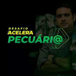 Imagem de capa para o Curso online Desafio Acelera Pecuária - Certificação Executiva Inttegra
