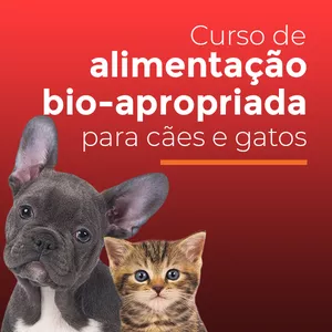 Imagem principal do produto Curso de alimentação Bio-Apropriada para cães e gatos 