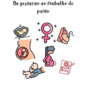 Imagem de capa para o Ebook Pack: Obstetrícia - Da gestação ao Trabalho de parto