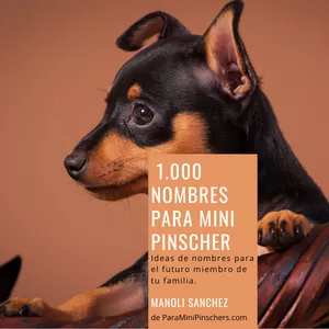 Imagen de portada para Ebook 1.000 nombres para mini pinscher