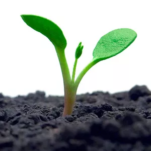 Imagem de capa para o Curso online Evolua nos Níveis Neurológicos