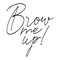 Brow Me Up Online Training 