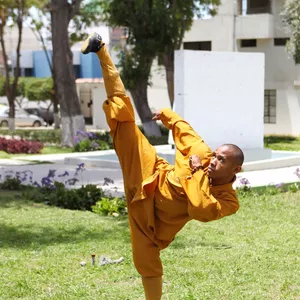 Imagen de portada para Curso online Kung fu shaolin 