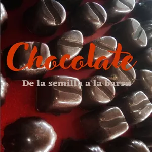 Imagen de portada para Ebook Chocolate de la semilla a la barra