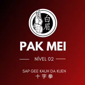 Imagem de capa para o Curso online Pak Mei - Sap Gee 十 字 拳